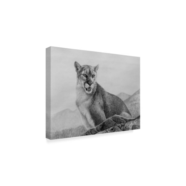 Rusty Frentner 'Cougar Study' Canvas Art,24x32
